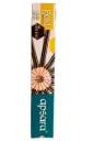 Apsara Gold Pencils – Premium Hexagonal Pencils for Beautiful Handwriting (Pack of 10)